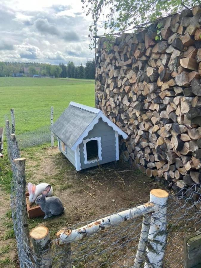 Domek Na Uboczu Gryfów Slaski Exterior foto